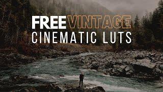 FREE Cinematic LUT Pack For Premiere Pro (2020)