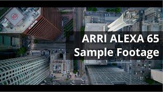 ARRI ALEXA 65 Sample Footage 6K in 4K | ARRIRAW | ungraded and graded