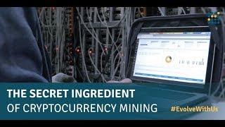 The Secret Ingredient of Cryptocurrency Mining / Genesis Mining #EvolveWithUs - The Series Episode 4