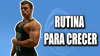 RUTINA PARA CRECER: División de entrenamiento