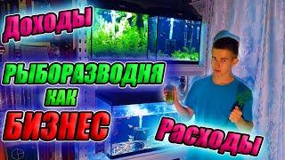 Рыборазводня как бизнес. Мои Доходы и Расходы с разводни!