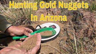 Gold Nugget Hunting With Bruno