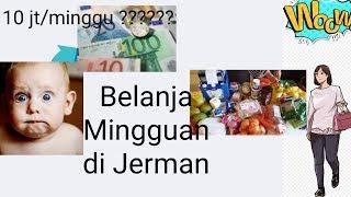 BELANJA MINGGUAN DI JERMAN | shopping vlog | membuat daftar belanja mingguan DI JERMAN