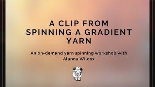 A clip from my on-demand yarn spinning workshop:"Spinning a Gradient Yarn"