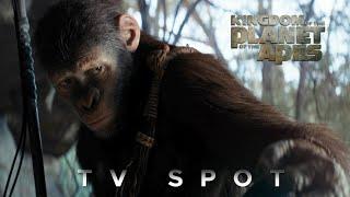 Kingdom of the Planet of the Apes - Law | TV Spot