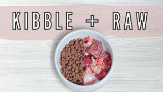 Is It Safe To Mix Kibble And Raw Meat?