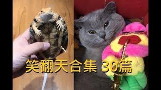 超爆笑 - 笑翻天合集 30篇