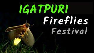 Igatpuri Fireflies Festival 2024 | Mischief Treks | Camping | Mumbai | Jugnu | Kajwa Mahotsav