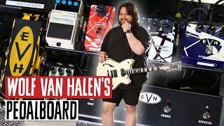 Wolf Van Halen's Pedalboard