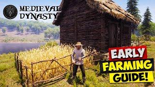 Medieval Dynasty - Early Game Farming Guide!