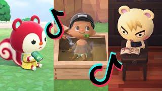 animal crossing tiktok memes that made me a bellionaire