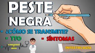 PESTE NEGRA SÍNTOMAS ¿Cómo se contagia? TRATAMIENTO | PESTE BUBÓNICA, SEPTICÉMICA Y NEUMÓNICA ‍️