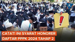 Gagal Lolos Tahap 1, Ini Syarat Honorer Bisa Daftar PPPK 2024 Tahap 2