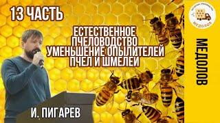 Естественное пчеловодство. Уменьшение опылителей, пчел, шмелей. Пигарев И. Часть 13