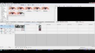 Sony Vegas : How to do "Audio slow motion" Tutorial