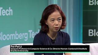 Top Researcher Li on the Promises and Perils of AI