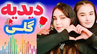 آهنگ هزارگی جدید دیده گلی آهنگ جدید عاشقانه محلی از علی محمدی0093 New Hazara song Dide Goli, new loc