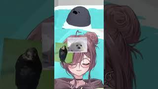 Mio + seals = happi vibes #mionobouken #vtuber #mioricelesta #vtuberen #seals