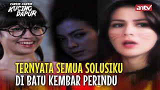 AKAN KUAMBIL KEMBALI CINTAKU APAPUN CARANYA! | Cantik Cantik Kucing Dapur | Eps 76 FULL