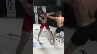 Head Kick KO #mma #shorts