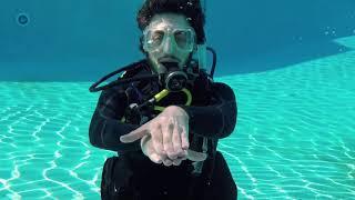 Scuba Diving Hand Signals for Identifying Marine Life