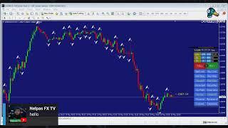 TRADE FOREX WITH NELPAS FX TV