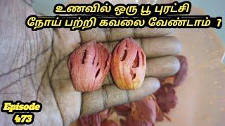 ##உணவில் ஒரு பூ புரட்சி இனி நோய் பற்றி கவலை வேண்டாம் #ஜாதி பத்திரி பூ உணவே மருந்து