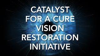 Catalyst for a Cure 2020 Progress Report - Vision Restoration