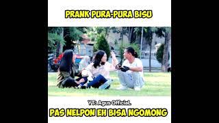 prank pura pura bisu