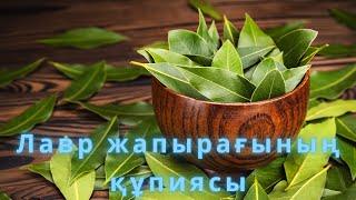 Лавр жапырағының сіз білмейтін құпиясы