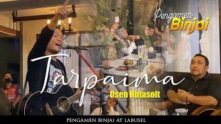 LAGU TARPAIMA HEBOH DI LABUSEL‼️