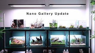 Honest Review of my Nano Aquascapes Q1-2024