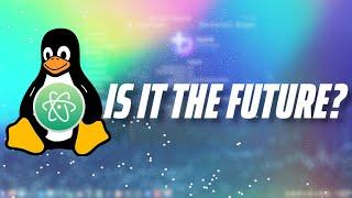 Immutable Distro's are the Future of the Linux Desktop?