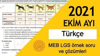 MEB 2022 LGS İçin 2021 Ekim Ayı Türkçe LGS Örnek Soruları  ve Çözümleri