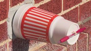 Can a Whataburger styrofoam cup protect your pipes? | VERIFY