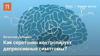 Серотонин — Вячеслав Дубынин на ПостНауке