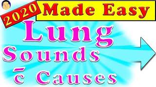 Lung sounds   Types & Causes Made SUPER Easy Abnormal Crackles Rales Wheezes Rhonchi Stridor Pleural