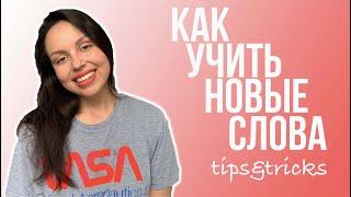 КАК ПОДГОТОВИТЬСЯ К IELTS: НОВЫЕ СЛОВА И КАК ИХ УЧИТЬ