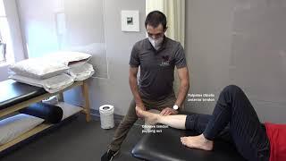 Manual Muscle Test for Ankle Dorsiflexion-Inversion