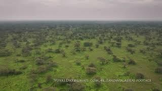 Lake Ndutu, Serengeti National Park  / Tanzania  2024  Aerial