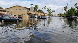 Videos show South Florida neighborhoods flooded after massive rainfall