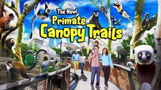 Zoo Tours: The New! Primate Canopy Trails | Saint Louis Zoo