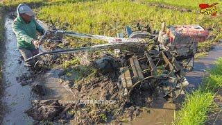 Singkal Mantap Traktor Sawah!! Garap Tanah Lengket Jadi Enak Banget