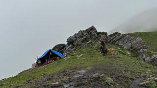 The Pastoral Life | Nepal|Chapter -38 |Himalayan Life | Sheep Shed Cooking & Eating |VillageLife