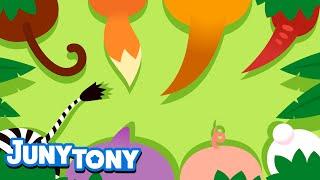 Tail, Tail, My Tail | Animal Song for Kids | Did You Ever See My Tail? | Kids Song | JunyTony