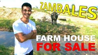 ZAMBALES Farm House & Lot For Sale!