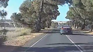 Aussiecams - We pray SAPOL was able to stop this driver! Dangerous driving