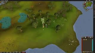 the osrs addiction experience