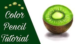 How To Draw A Kiwi | Color Pencil Tutorial