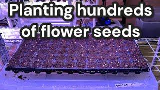 Planting hundreds of flower seeds